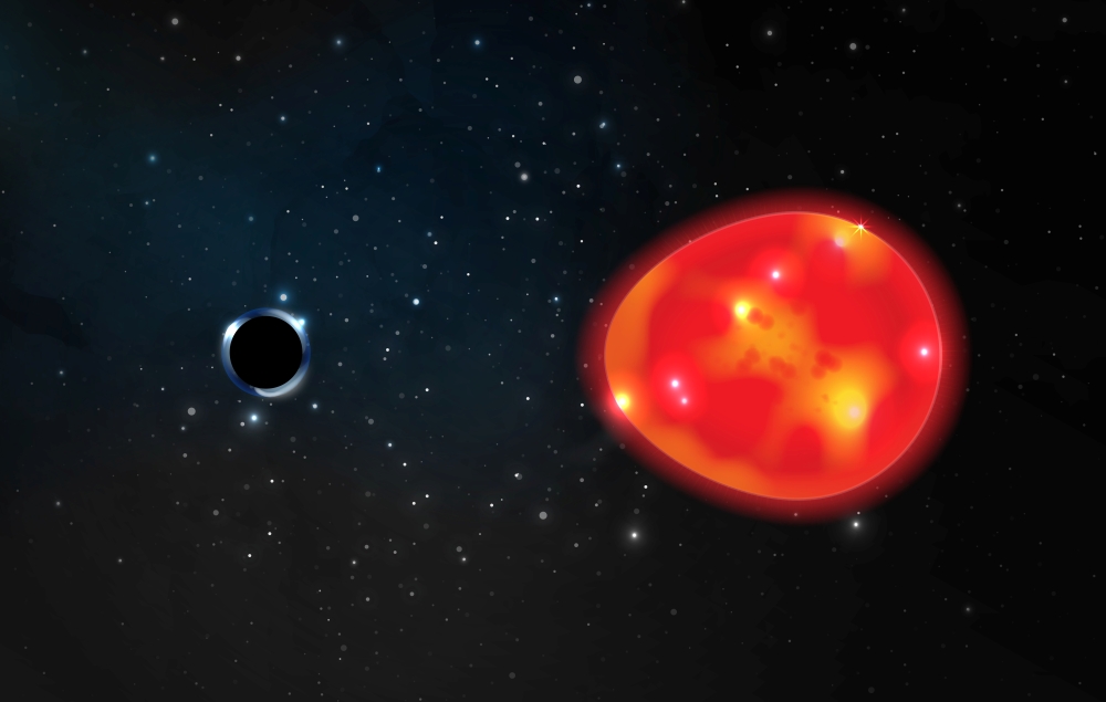A black hole located approximately 1,500 light years from our solar system, discovered in the constellation Monoceros, pulls at a nearby red giant star, distorting its light in an undated illustration. Ohio State illustration/Lauren Fanfer/Handout via REU
