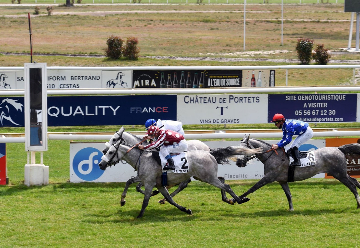 Olivier Peslier guides H H Sheikh Abdullah bin Khalifa Al Thani's Abbes to victory
at La Teste-de-Buch Racecourse in France, yesterday. Pic: Robert Polin