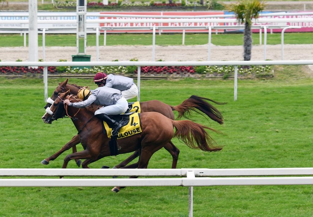 Joud Al Cham and Mounjared Al Cham in action at the Prix Baroud II in Toulouse, France. Pic: Robert Polin 