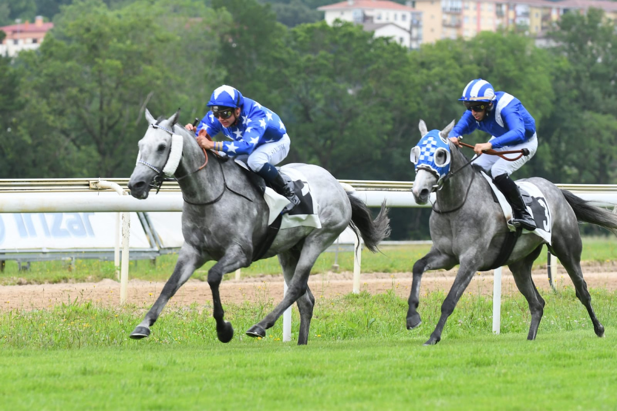 Khateer Alkhalediah en route to victory.