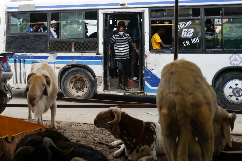 A man rides a bus past sheep for sale for the upcoming Eid Al-Adha sacrifice as the coronavirus disease (COVID-19) cases spike, in Dakar, Senegal July 19, 2021. Picture taken July 19, 2021. REUTERS/Zohra Bensemra