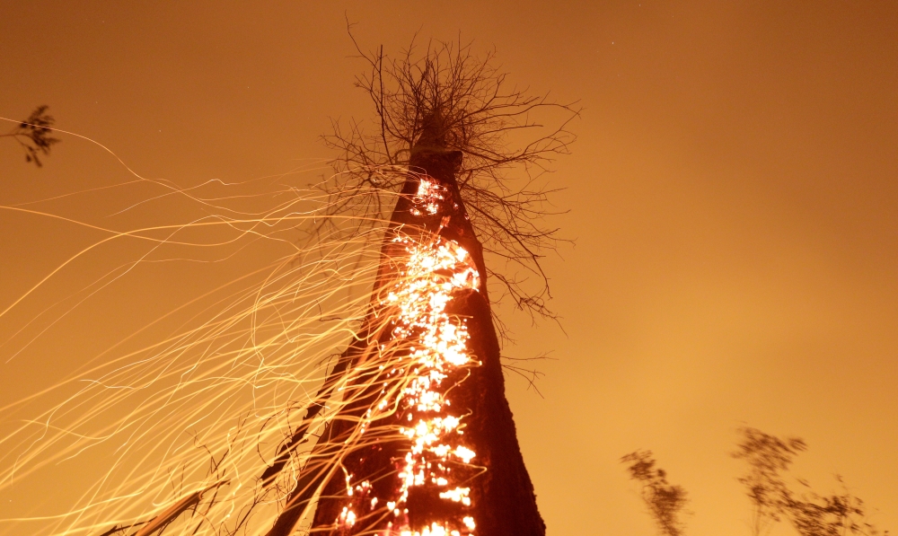 A tract of Amazon jungle burns as it is cleared by farmers in Rio Pardo, Rondonia, Brazil September 15, 2019. REUTERS/Ricardo Moraes/File Photo