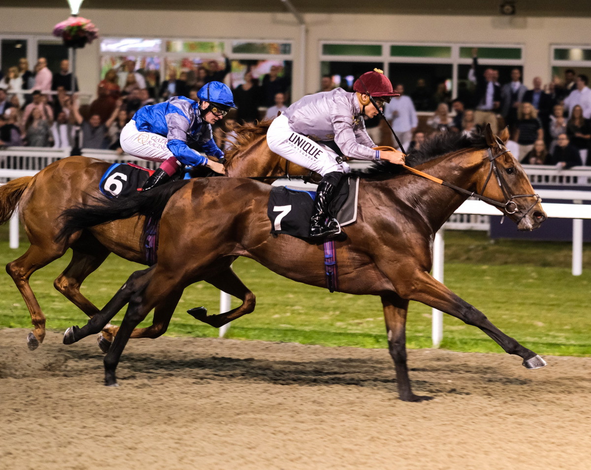 Jockey Thore Hammer Hansen guides Lafan to victory. Pic: Megan Rose