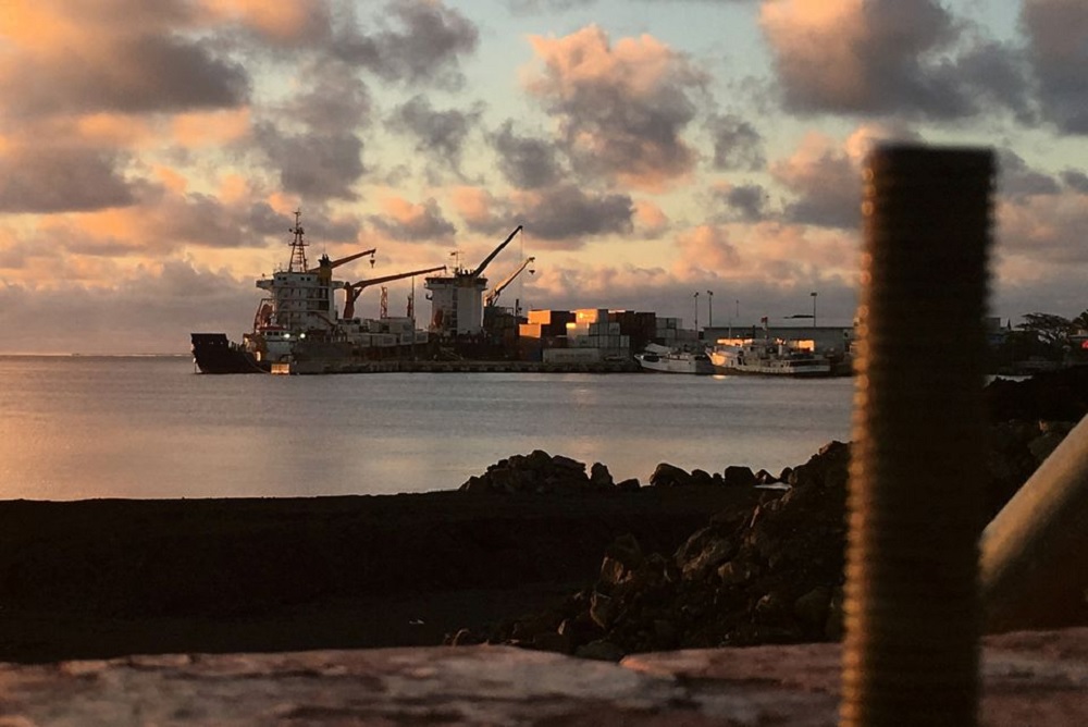 FILE PHOTO: A container ship unloads at the Matautu port, which has been expanded through support from Japan, in the Samoan capital of Apia, July 12, 2019. Picture taken July 12, 2019. REUTERS/Jonathan Barrett/File Photo