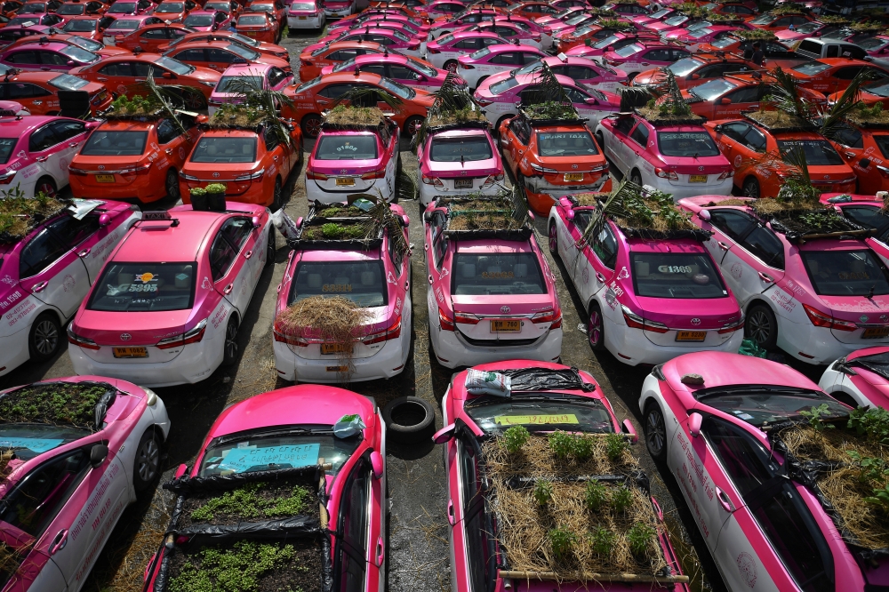 Miniature gardens are seen on the roof of unused taxis due to the business crisis caused by the coronavirus disease (COVID-19) pandemic at a taxi garage in Bangkok, Thailand, September 16, 2021. Picture taken September 16, 2021. Reuters/Chalinee Thirasupa
