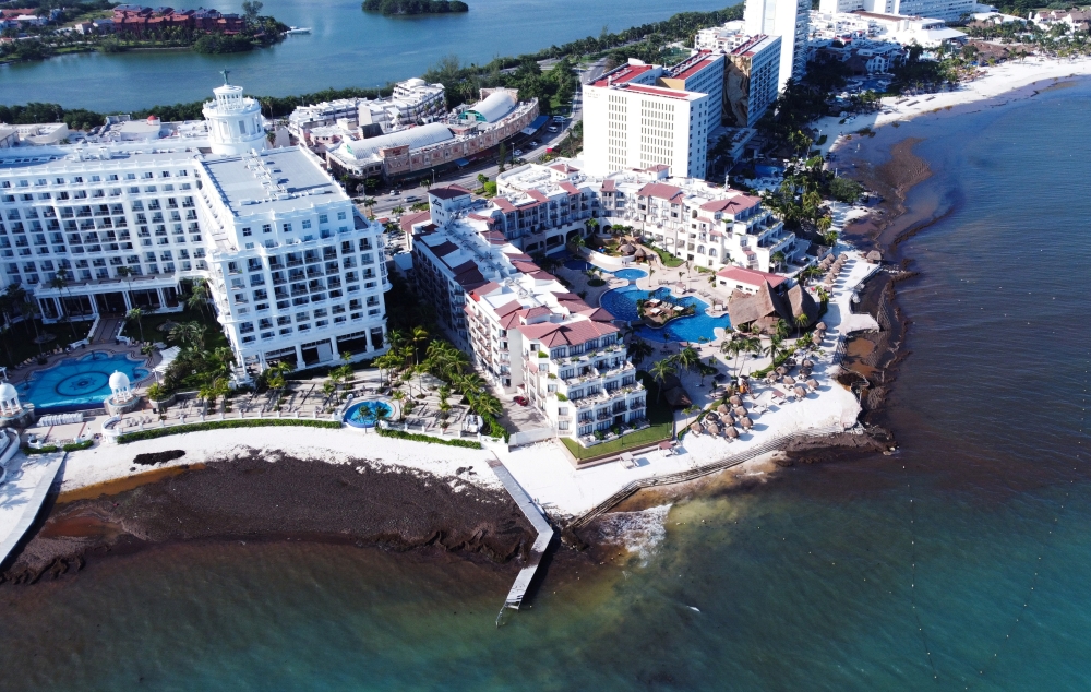 An aerial view shows a beach covered with sargassum in Cancun, Mexico August 21, 2021. Reuters/Paola Chiomante 