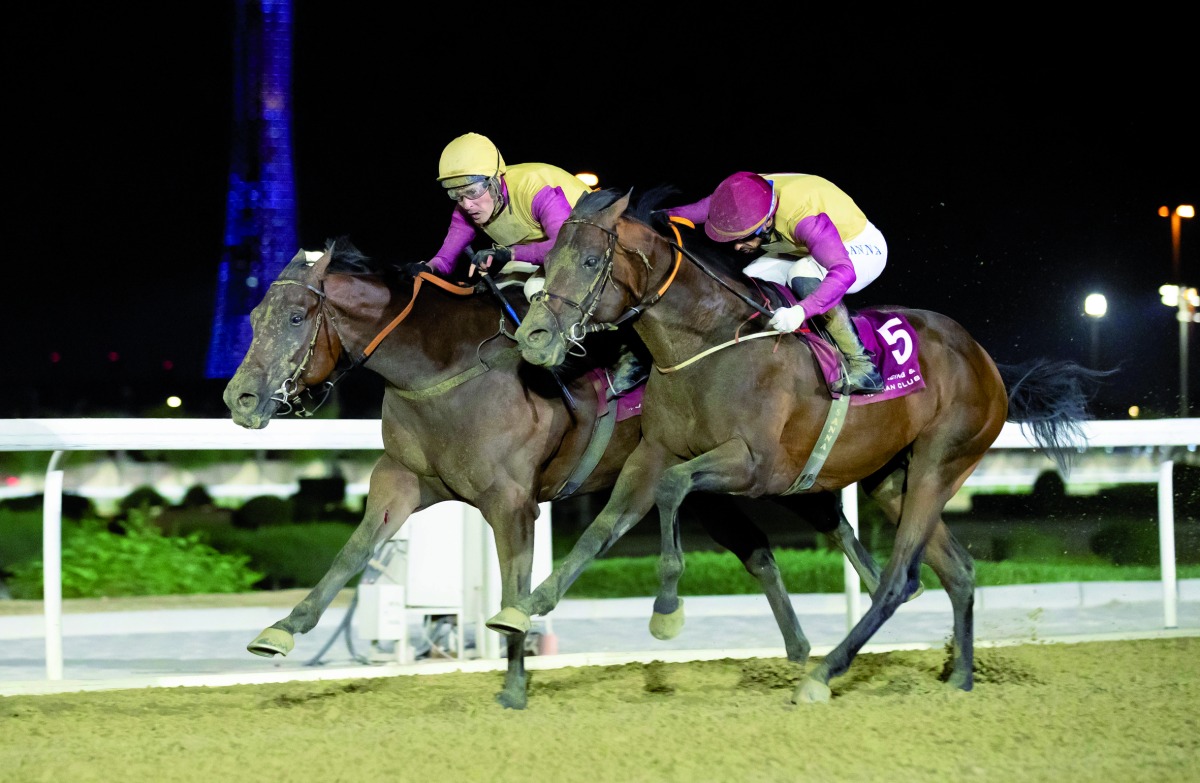 Jockey JP Guillambert guides Ernest Aldrich to victory. 