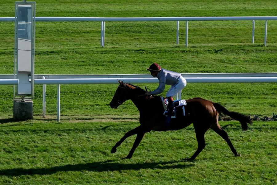 Jean-Bernard Eyquem and Caracal on their way to win at Bordeaux-Le-Bouscat. Pic: Laurent Ferriere
