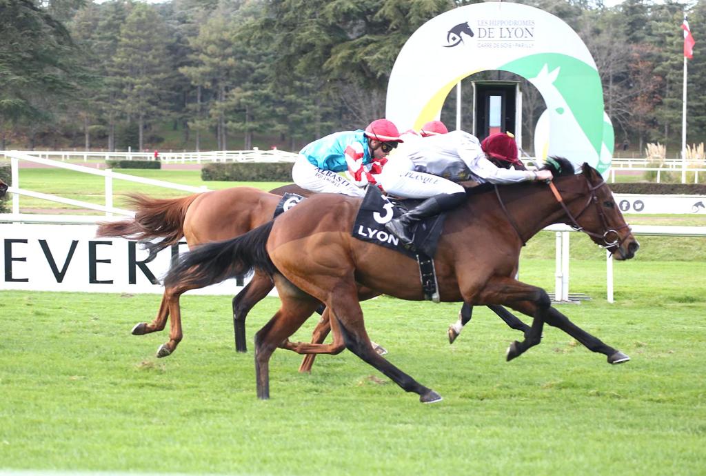 Simon Planque guides Dhahabia to win at Lyon-Parilly.