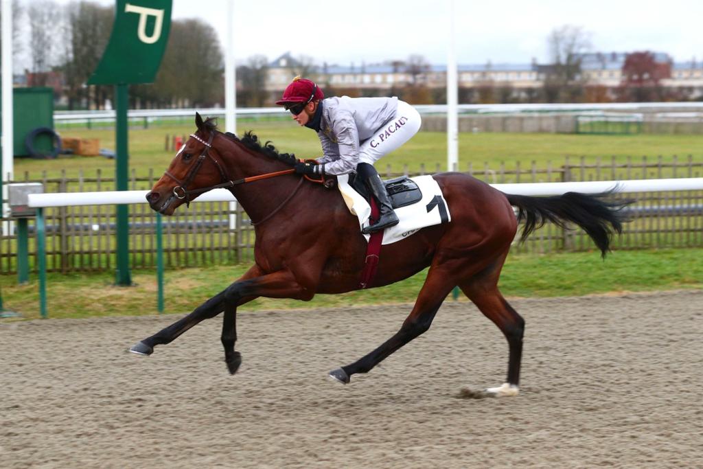 Al Hakeem and jockey Coralie Pacault on their way to win the Prix Du Rond Du Chene. Pic: Scoopdyga