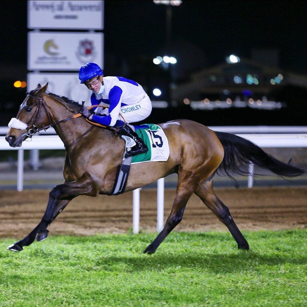  Jim Crowley guides Lady Princess to victory.