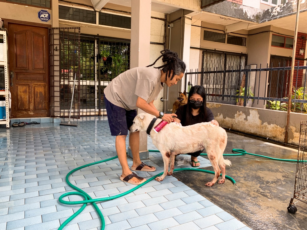 Juanita binti Izzudin and a fellow volunteer bathe a dog at Arausza Animal Shelter as they clean up the place after a flood hit Kajang, Selangor state, Malaysia, December 21, 2021. REUTERS/Ebrahim Harris NO RESALES. NO ARCHIVES
