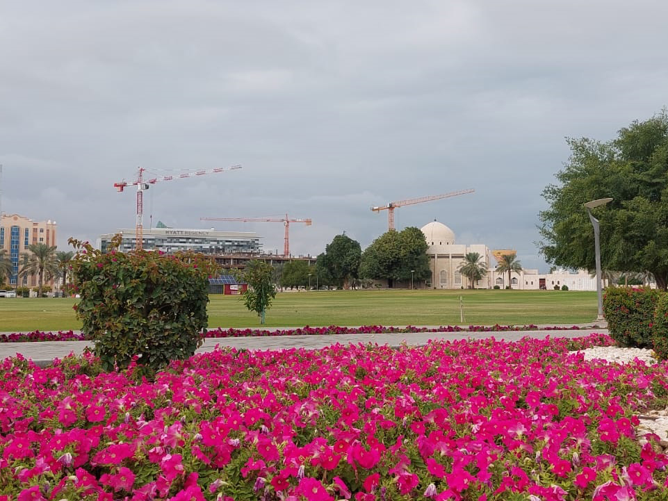 Picture by Salim Matramkot / The Peninsula