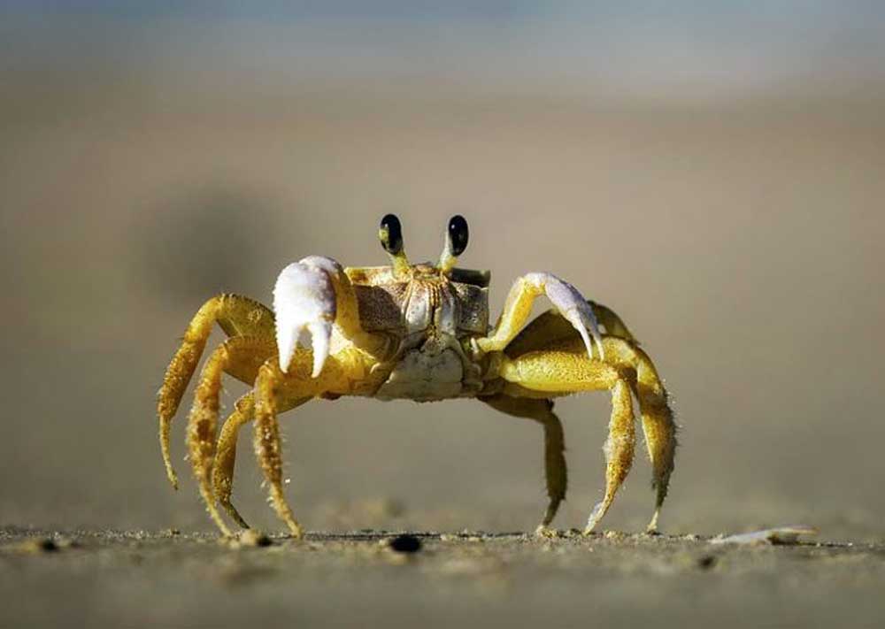 File photo for representation only