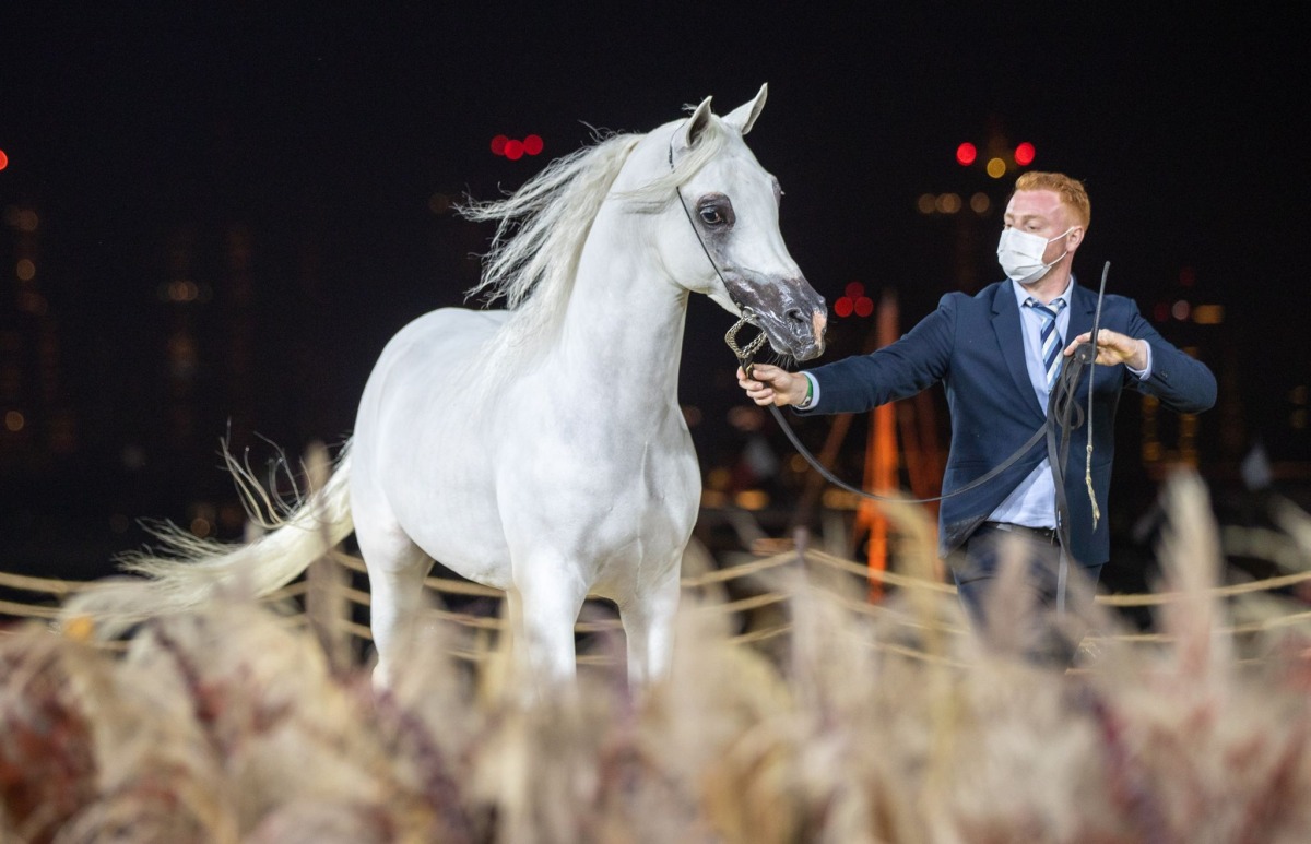 A participant during a championship of KIAHF 2022.