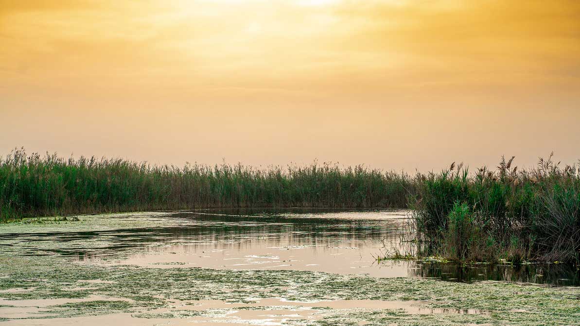 A lake near Irkaya Farm off the Abu Samra Road, about 50km west of Doha.