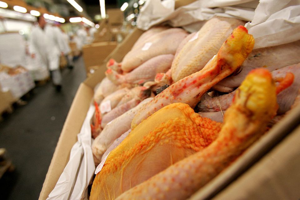 FILE PHOTO: Cases of chickens and other poultry displayed for sale at a market near Paris, February 21, 2006. REUTERS/Franck Prevel

