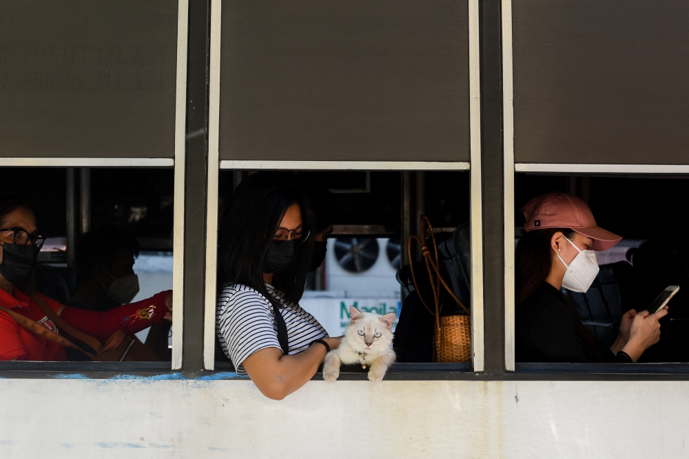A cat along with people wearing face masks as protection against the coronavirus disease (COVID-19) ride a bus, in Manila, Philippines, March 1, 2022. REUTERS/Lisa Marie David