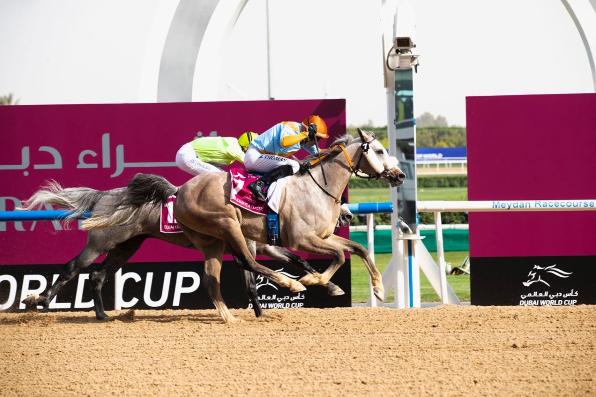 Jockey Ronan Thomas guides First Classs to victory.