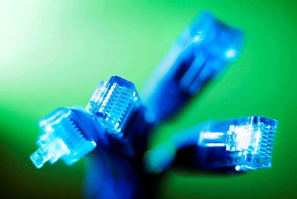 Internet LAN cables are pictured in this photo illustration taken in Sydney June 23, 2011. REUTERS/Tim Wimborne

