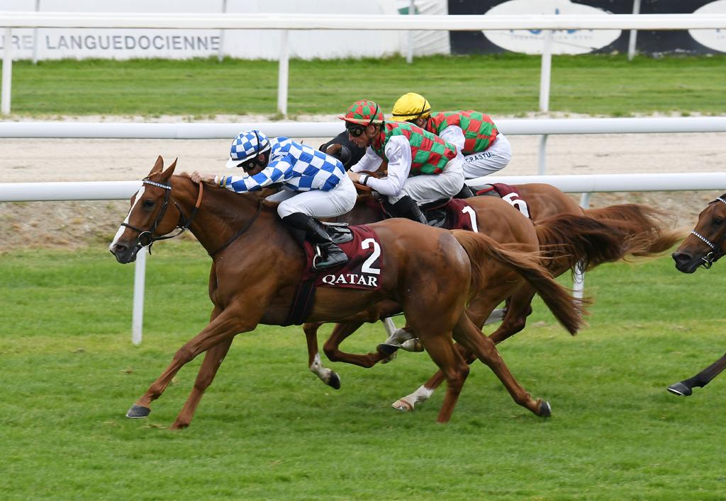 Alexandre Gavilan guides Ghurat Al Zaman towards the finish line during the Qatar Prix de l’Elvage sponsored by Qatar Racing and Equestrian Club in Toulouse, yesterday.