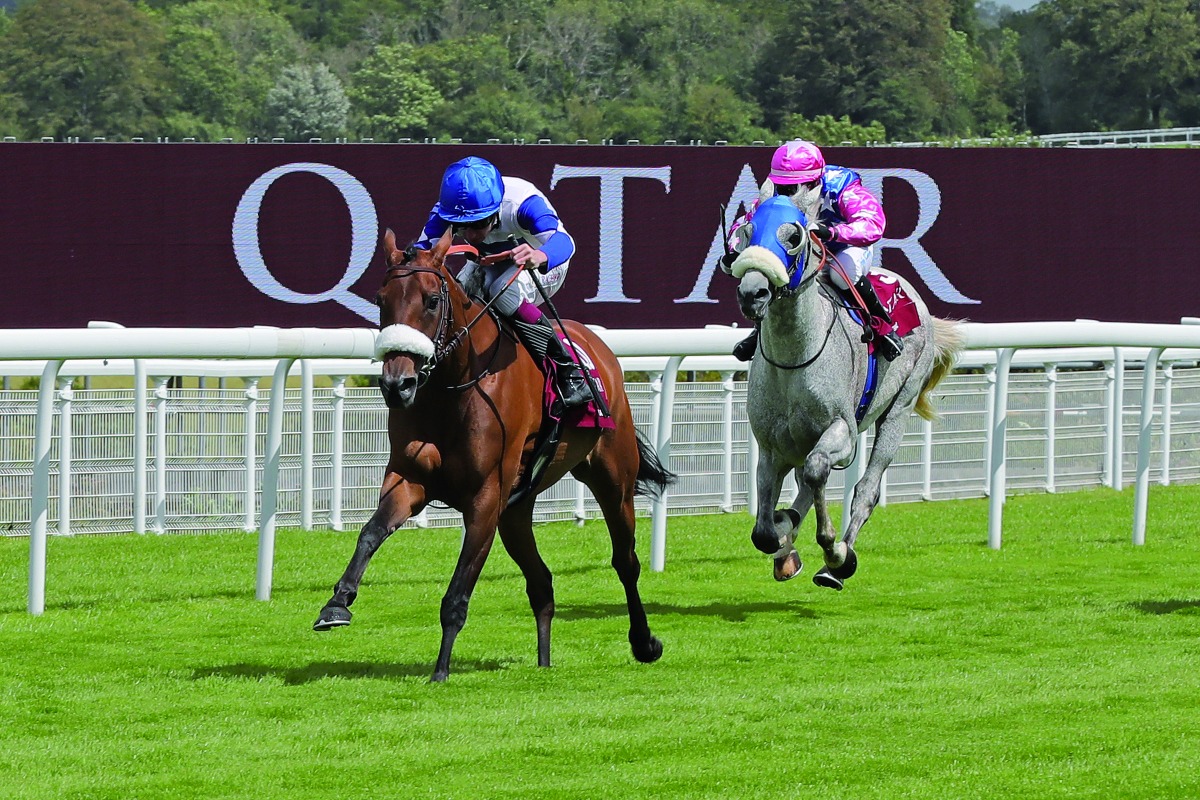 Lady Princess (foreground) is one of the main contenders to win the Qatar International Stakes.  