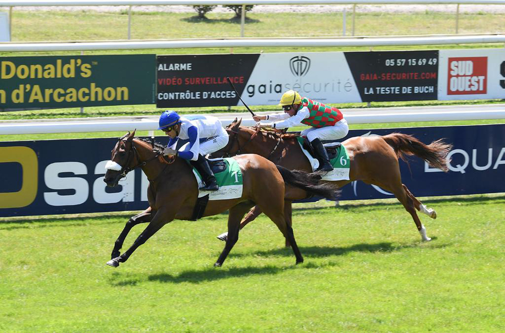 Jockey Christophe Soumillon guides Lady Princess towards the finish line. Pic: Robert Polin