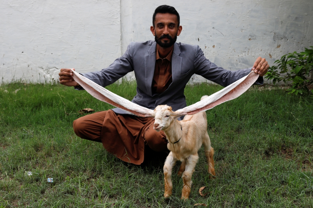 Mohammad Hassan Narejo, 30, displays Simba, a one month and four days old kid goat with 22-inch long ears, at his house in Karachi, Pakistan July 8, 2022. REUTERS/Akhtar Soomro