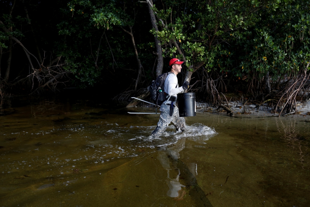 Andrew Otazo, who calls himself an amateur mangrove cleaner, walks on the shore as he removes trash from the mangroves at Crandon Park in Miami, Florida, US, July 13, 2022. (REUTERS/Marco Bello)