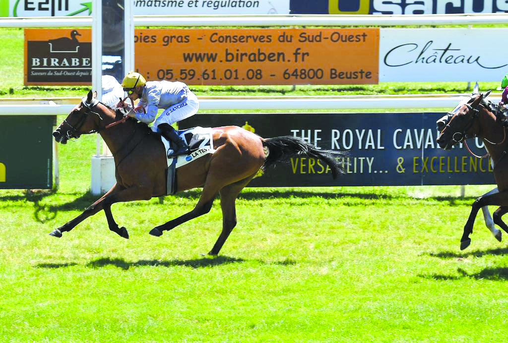 Mezown winning the race. (Pic: Robert Polin)