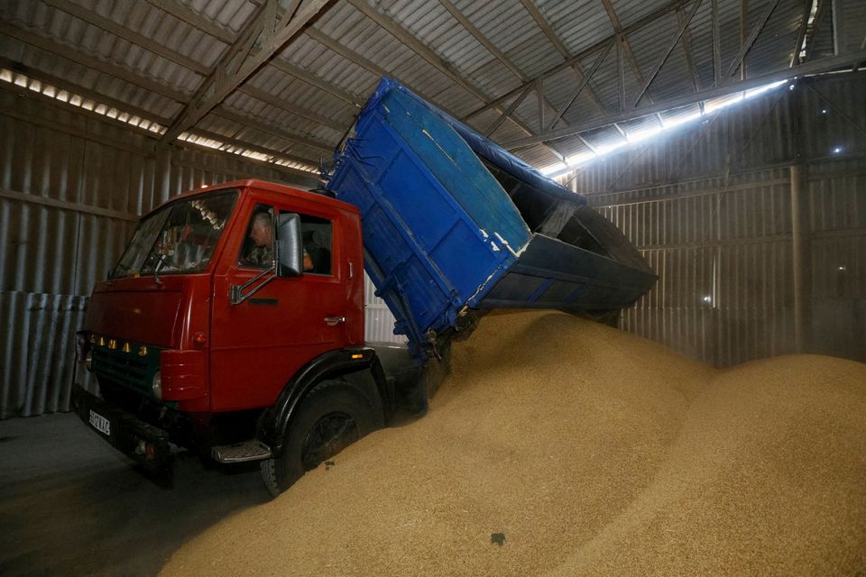 A driver unloads a truck at a grain store during barley harvesting in the village of Zhovtneve, Ukraine, July 14, 2016. REUTERS/Valentyn Ogirenko

