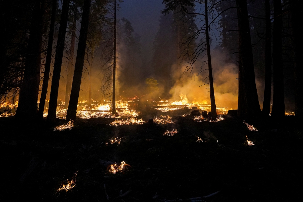 The Washburn Fire burns near the Mariposa Grove in Yosemite National Park in Wawona, California, U.S. July 11, 2022. REUTERS/Tracy Barbutes

