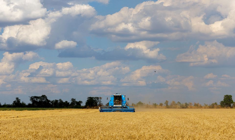 A combine harvests wheat during Ukraine-Russia conflict in the Russia-controlled village of Muzykivka in the Kherson region, Ukraine July 26, 2022. REUTERS/Alexander Ermochenko

