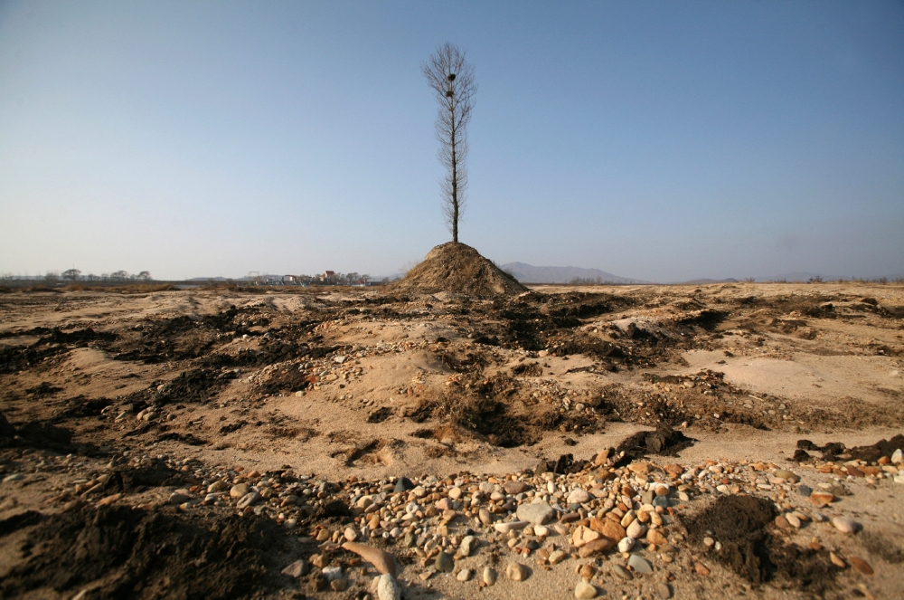 File photo: A tree stands on the dried-up riverbed of Ai River in Dandong, Liaoning province November 27, 2009. Reuters/Jacky Chen/File Photo