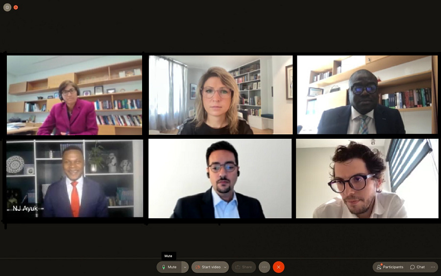 Speakers during the online seminar. 