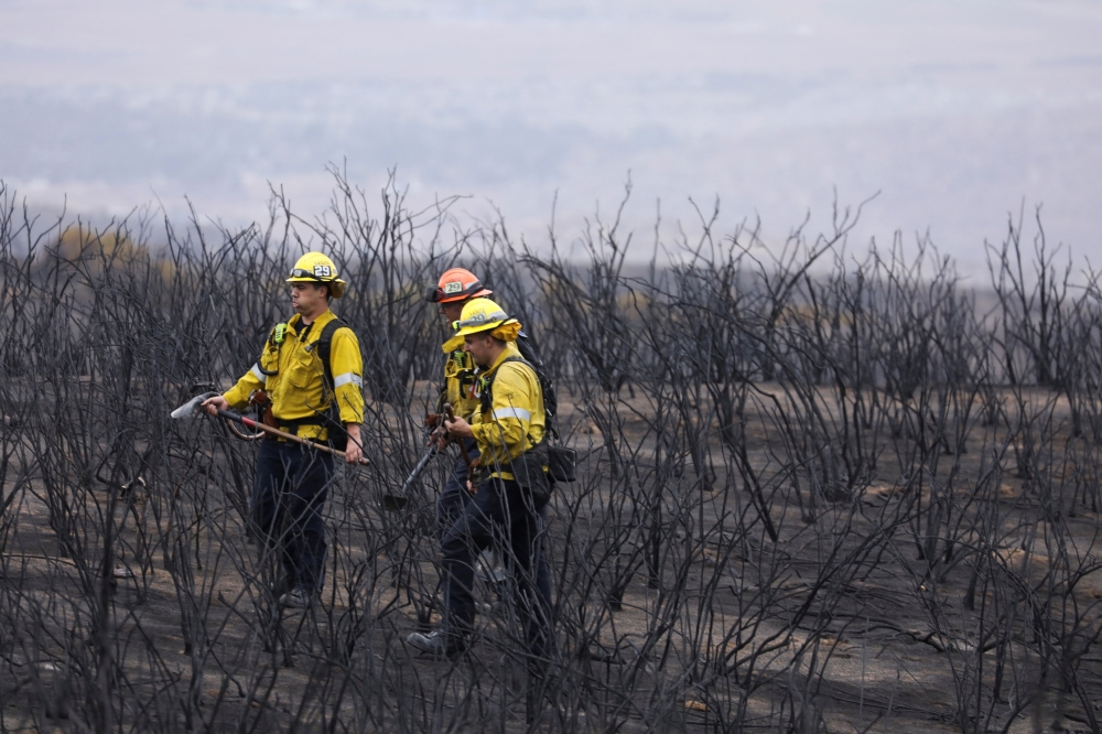 Firefighters look for hotspots in the black as the Fairview Fire smoulders near Hemet, California, on September 9, 2022. REUTERS/David Swanson