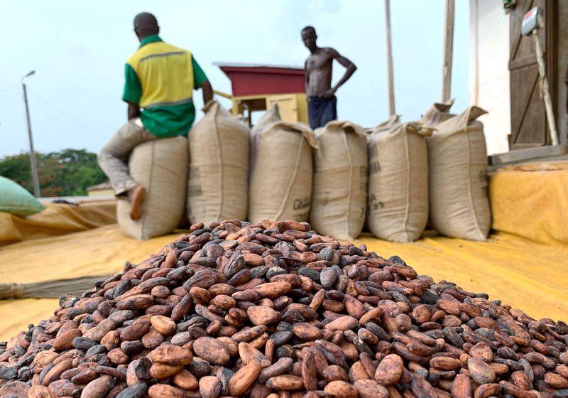 Cocoa beans are pictured next to a warehouse at the village of Atroni, near Sunyani, Ghana, on April 11, 2019. File Photo / Reuters
