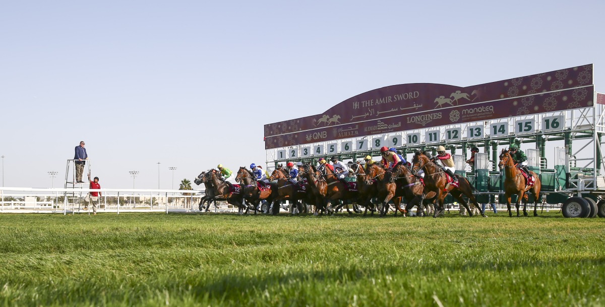 A file photo of action during the HH The Amir Sword Festival.