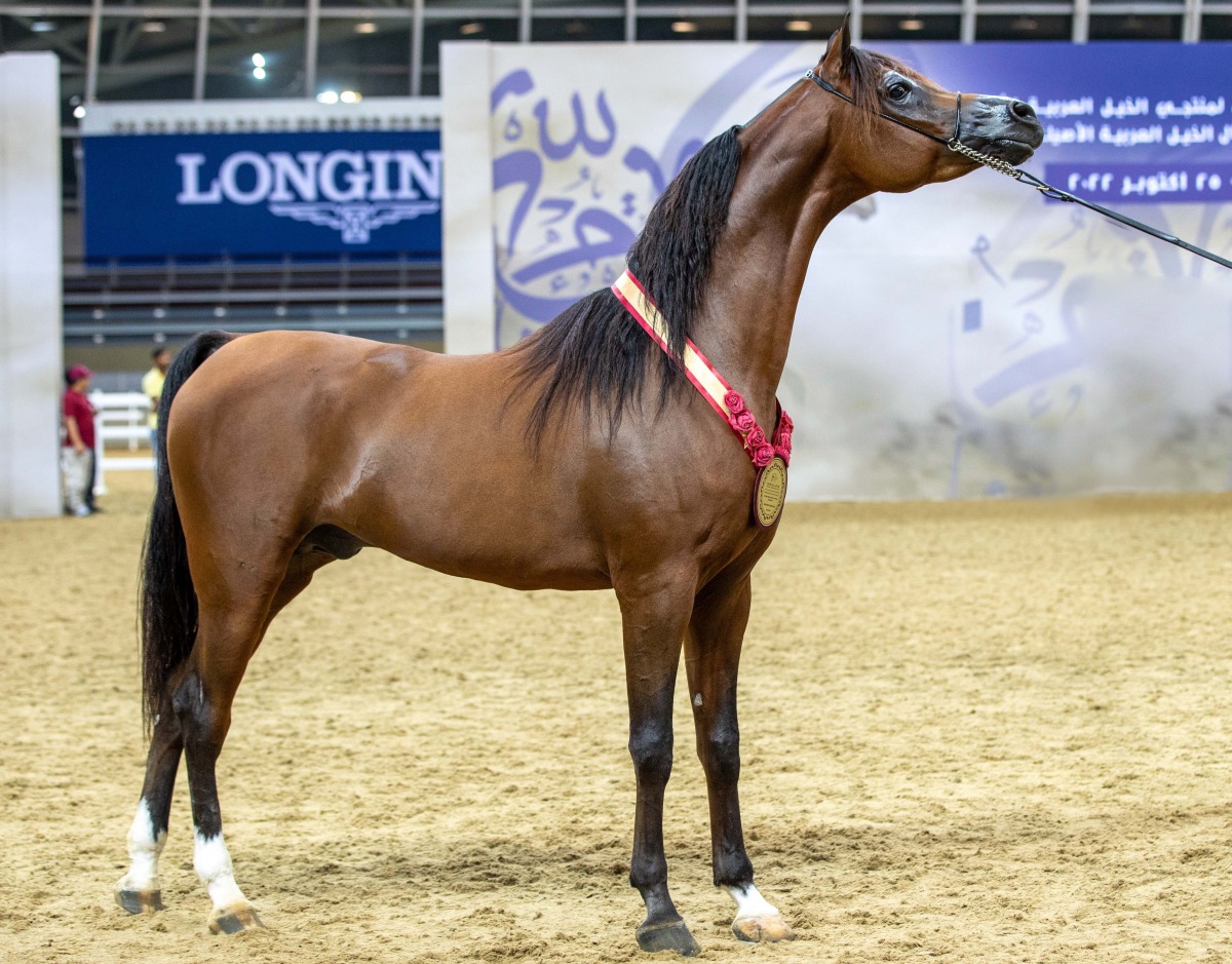 Pictures: Juhaim/QREC