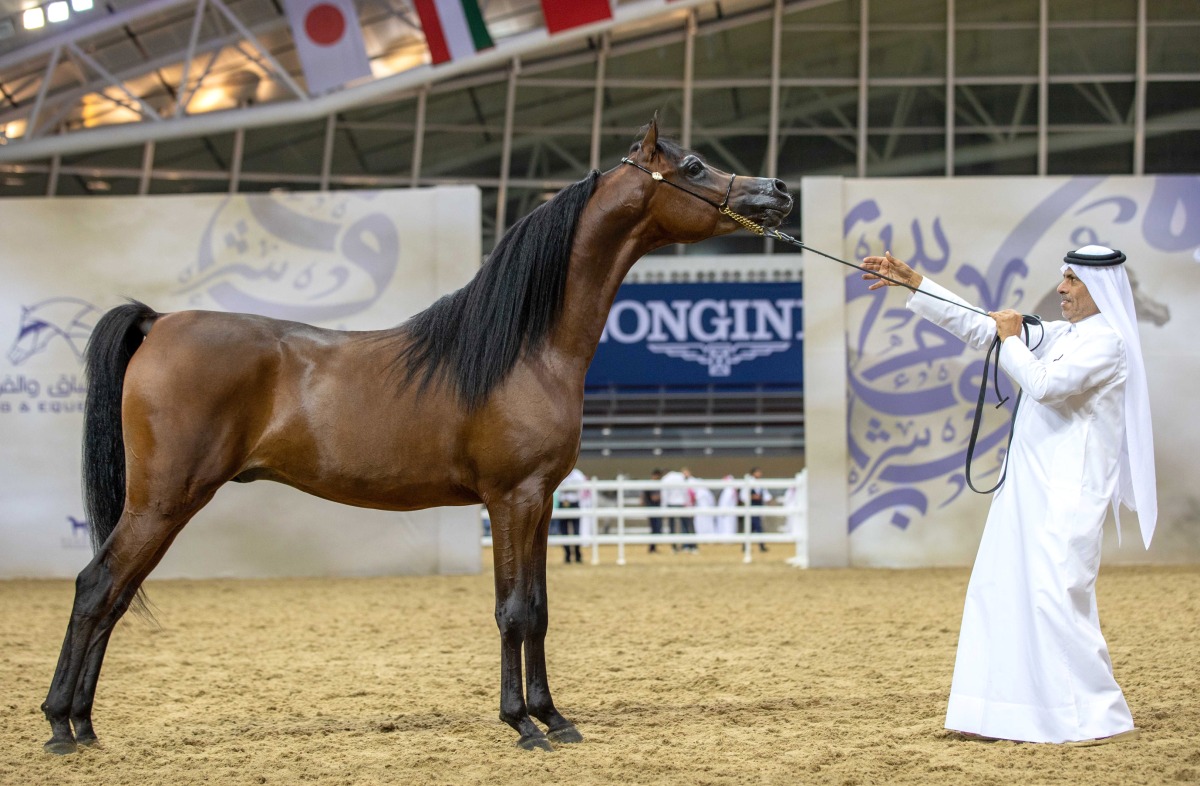 Pictures: Juhaim/QREC