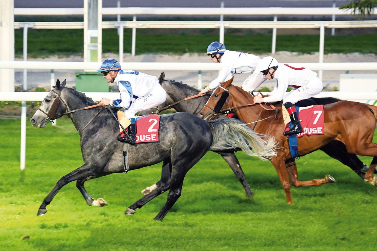 Moshrif and jockey Olivier Peslier on their way to victory. PIC: Robert Polin