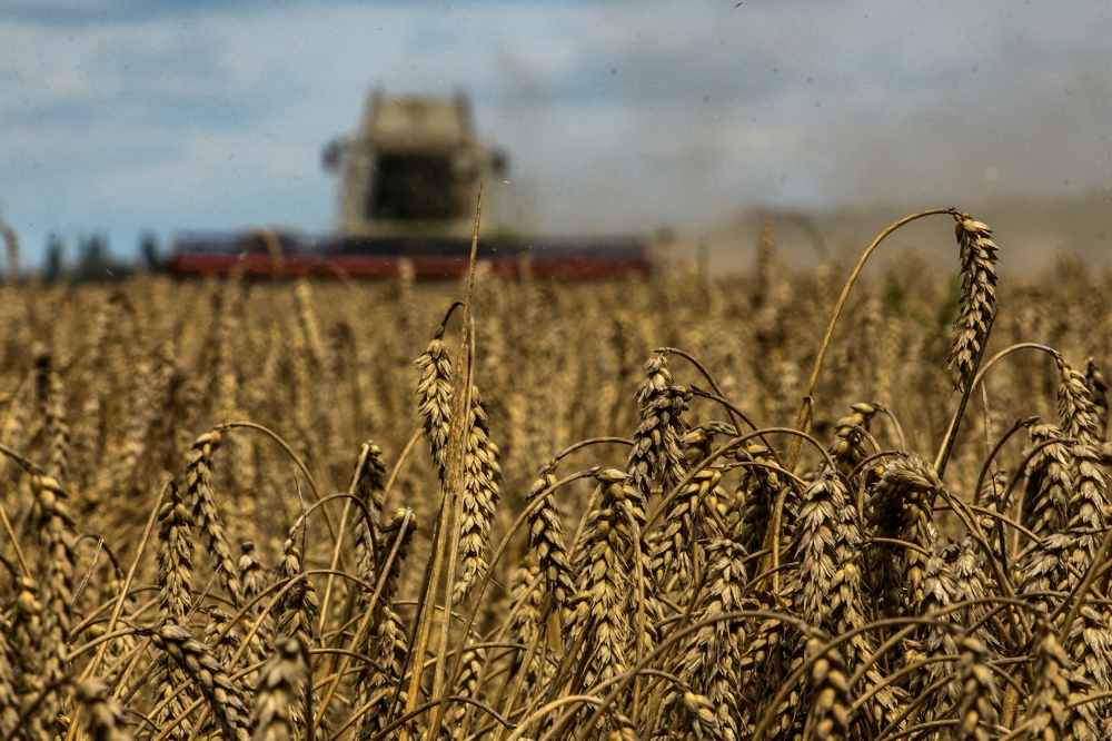 A combine harvests wheat in a field near the village of Zghurivka, amid Russia's attack on Ukraine, in Kiev region, Ukraine August 9, 2022.  File Photo / Reuters