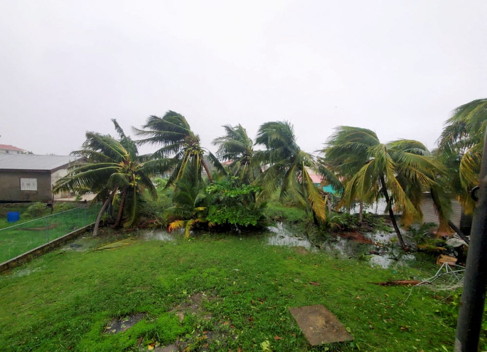 Damaged palm trees sit after Hurricane Lisa bore down on Belize City on Wednesday, the U.S. National Hurricane Center (NHC) reported in a bulletin, in west Landivar suburb, Belize City, Belize November 2, 2022. Reuters/Jose Sanchez 