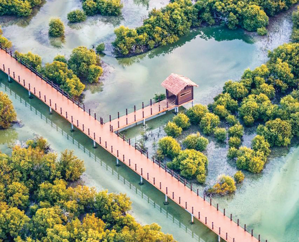 An aerial view of Al Thakhira mangroves near Al Khor. 