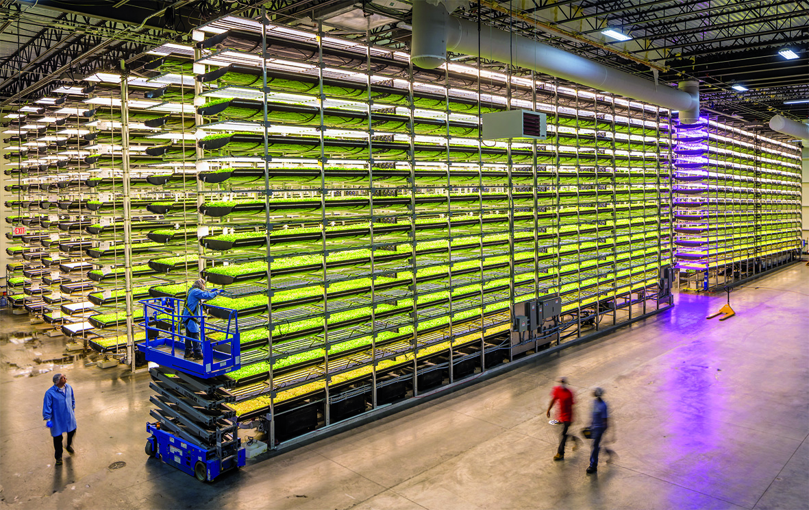 As a purpose-driven organisation, AeroFarms is both a change-the-world company and an award-winning retail brand.