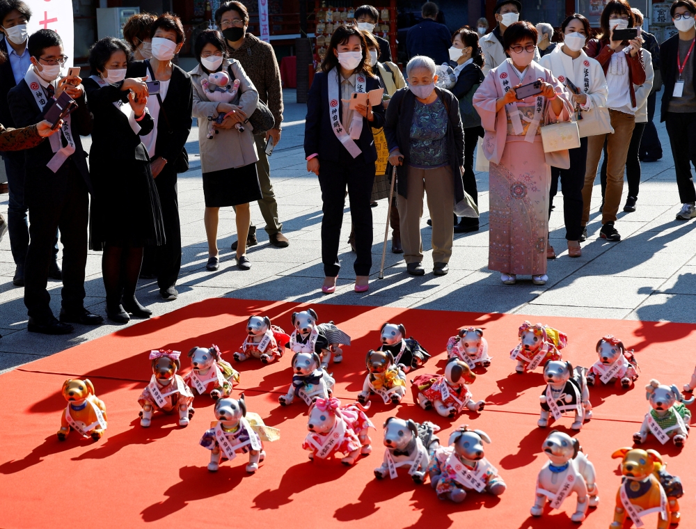 People watch Sony's robotic dogs 'Aibo' during a ritual ceremony Sichi-Go-San, which is usually held for praying for children's health and wellbeing, at the Kanda Myojin shrine in Tokyo, Japan, November 11, 2022. REUTERS/Kim Kyung-Hoon/File Photo