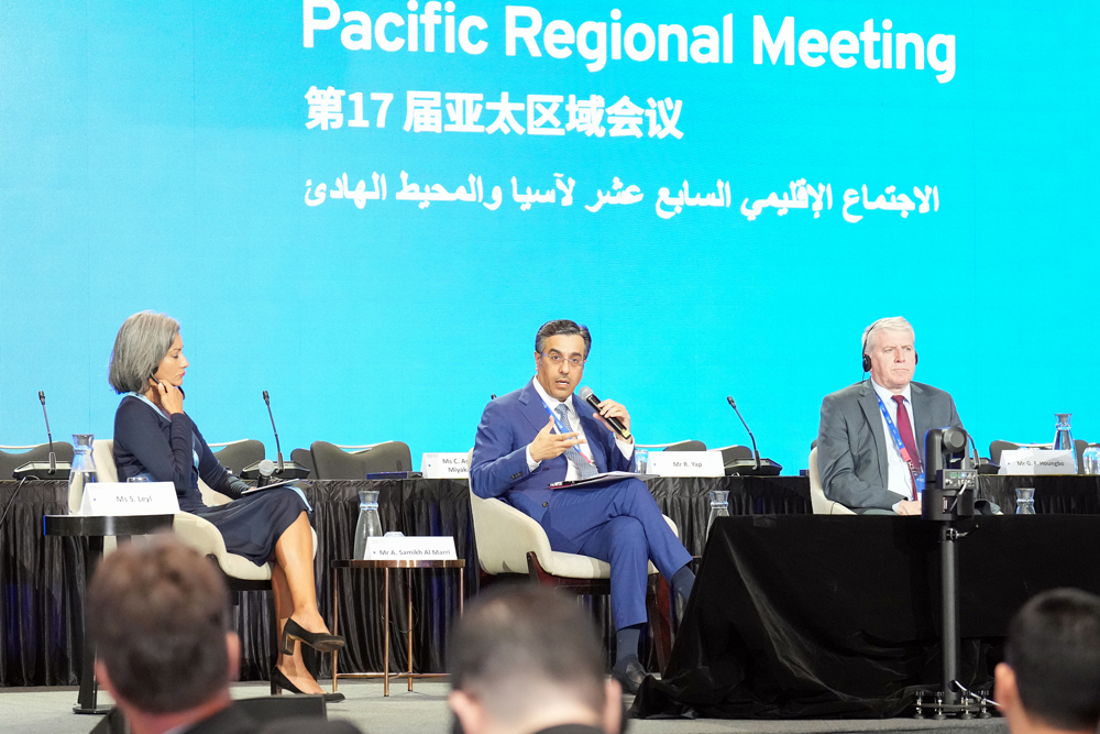 Minister of Labour H E Dr. Ali bin Smaikh Al Marri (centre) speaking at a session of 17th regional meeting of Asia-Pacific countries. 