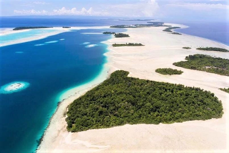 The Widi Reserve is part of the Coral Triangle, the most biodiverse marine area on Earth. (Sotheby's Concierge Auction)
