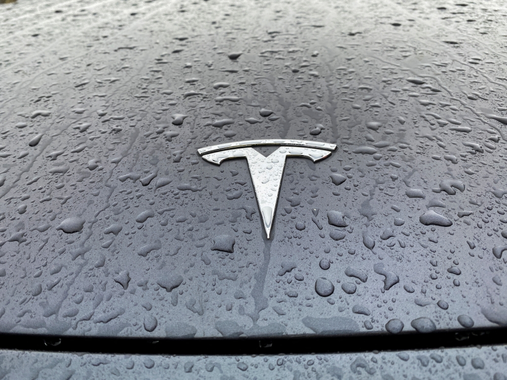 A view shows the Tesla logo on the hood of a car in Oslo, Norway November 10, 2022. REUTERS/Victoria Klesty/File Photo