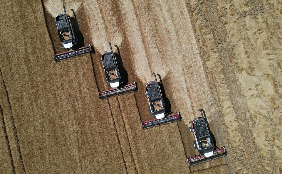 Combines harvest wheat in a field in the Rostov Region, Russia July 7, 2022. REUTERS/Sergey Pivovarov
